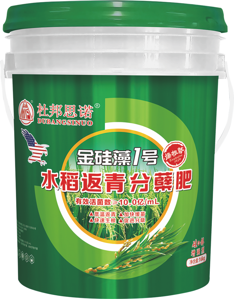 金硅藻1号-水稻返青分蘑肥.png