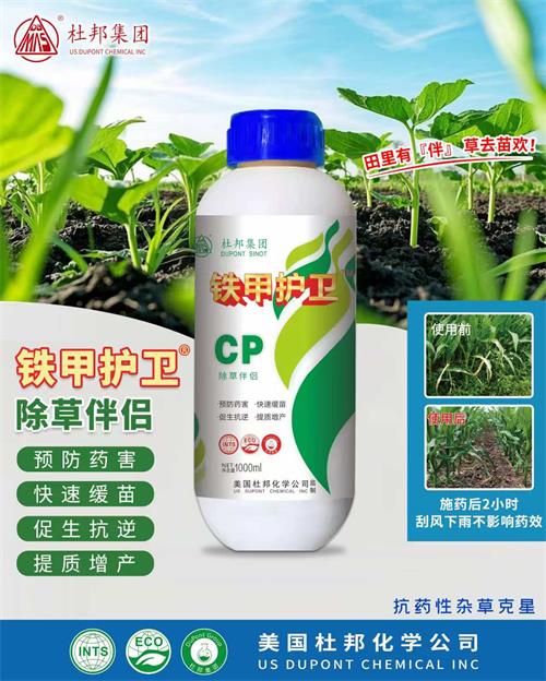 铁甲护卫