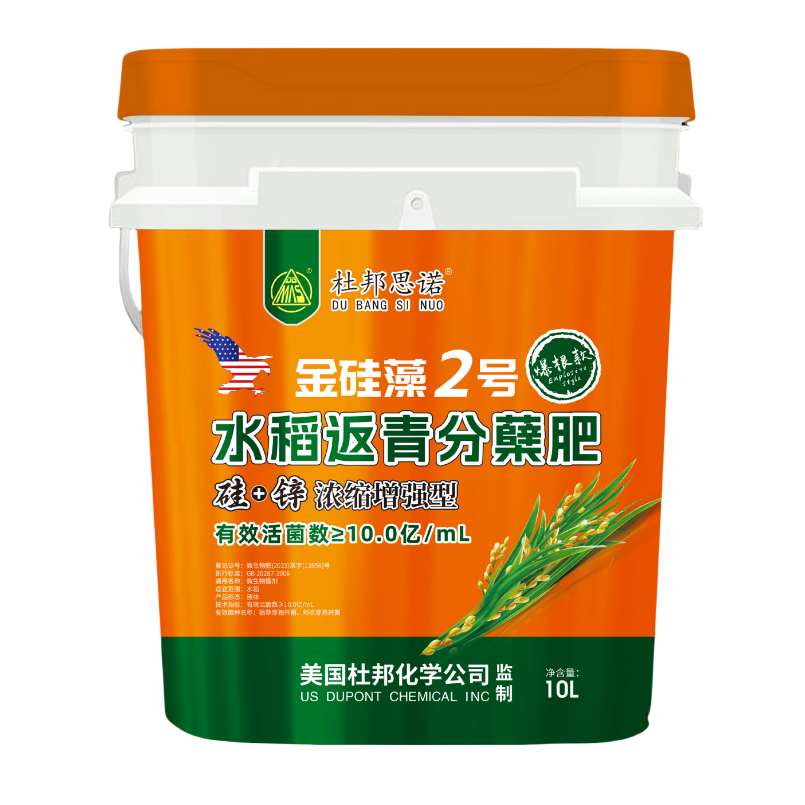 水稻返青分蘖肥